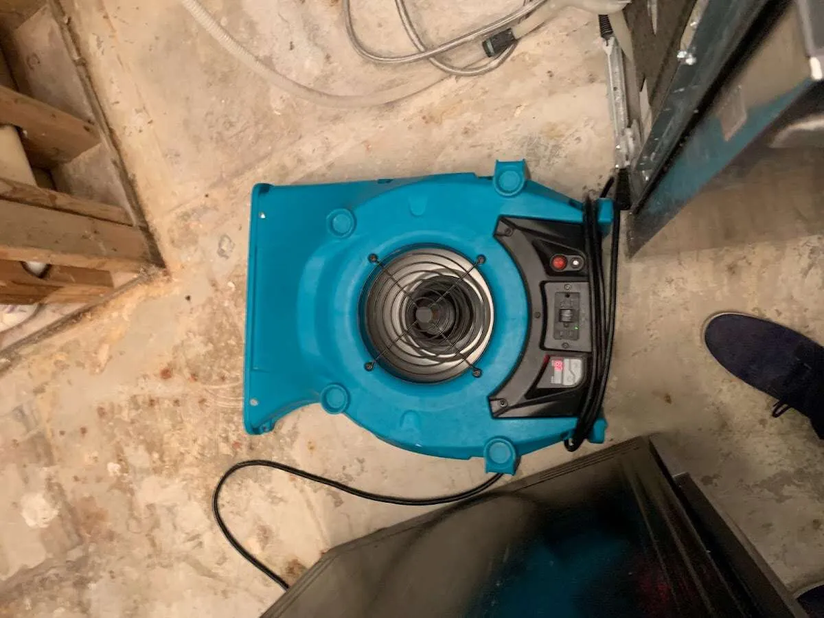 Air mover drying equipment for Mold Remediation & Removal in Glendora